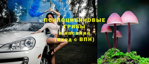 винт Алзамай