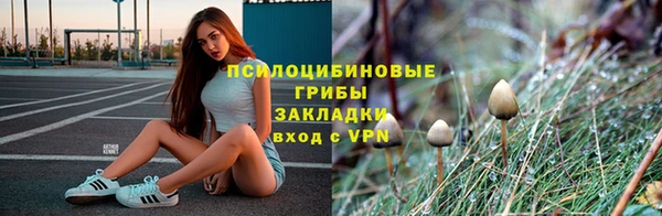 винт Алзамай