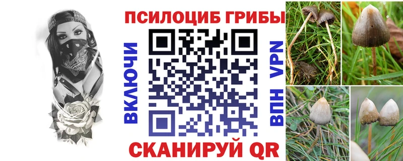 Галлюциногенные грибы Cubensis  Кострома 